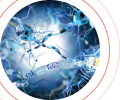 Naturheilkunde in Friedberg: Therapie von neurologischen Erkrankungen